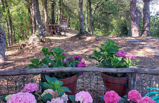 Villa with garden and sea and mountain views 5km from the beaches