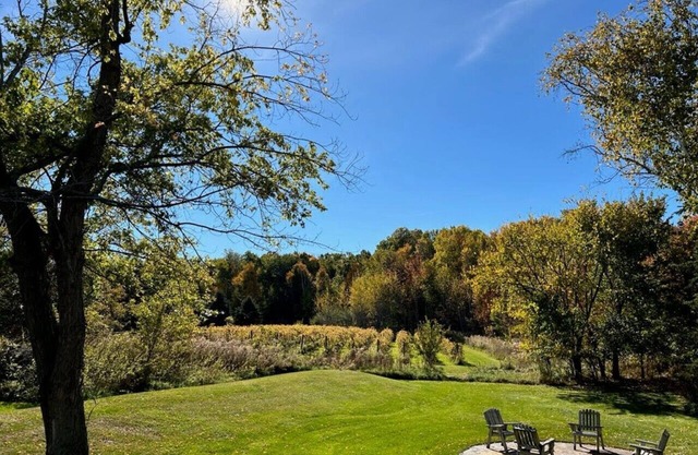 Vineyard View – Cozy Family Retreat