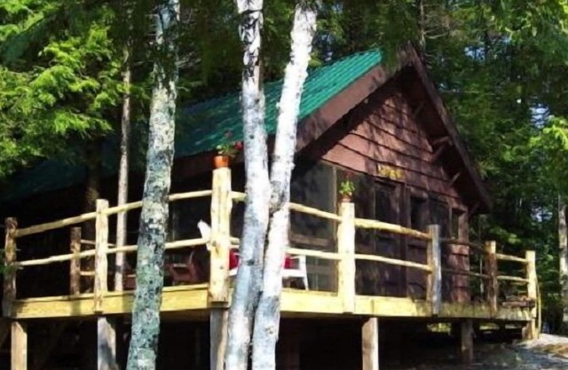Vintage, Retro Adirondack Cabin - waterfront, peaceful - open spring/summer/fall