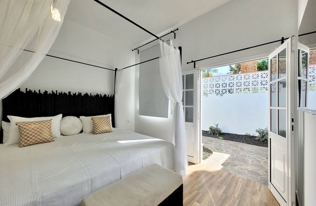 Vizcaina - Strelitzia by TOR