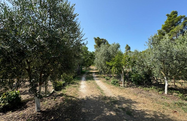 Vlora Three Houses