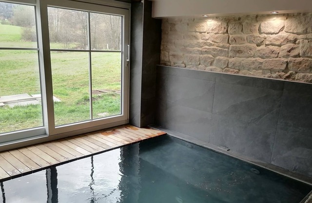 Vosges mill/farm transformed into a charming gite for 12 people, infinity spa,