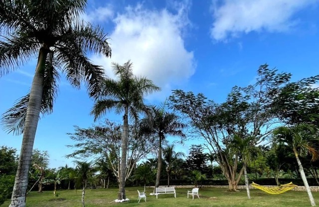 Vrbo Property
