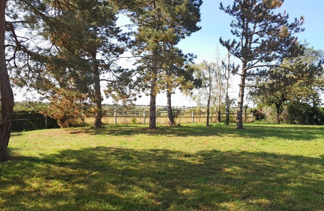 Vrbo Property
