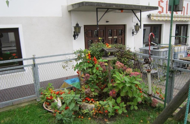 Waldpension Stachl