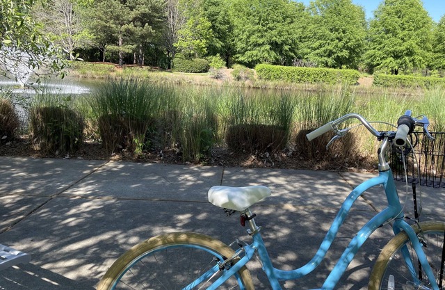 Walk or bike to the lake, shops, and restaurants