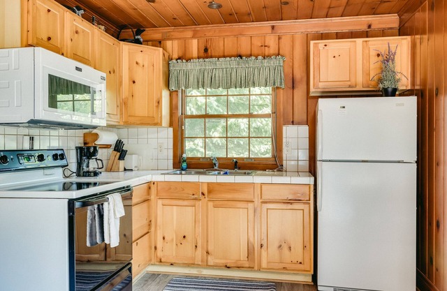 Wannigan Point Cabin #4