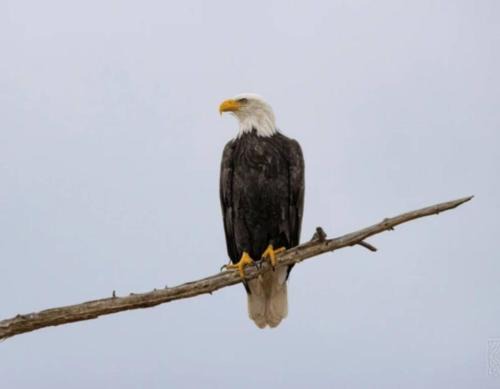 Waterfront 2 Bdrm Cabin with Best Sunset View and Huge Yard