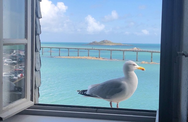 Waterfront duplex in the heart of the historic center