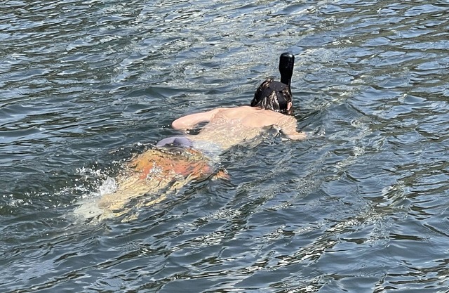 Waterfront with dock on friendly private lake.
