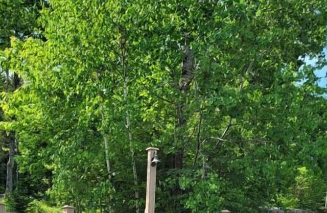 Waterville Condo located Close to Skiing, Trails & Town!!