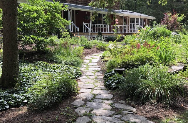 WE'RE OPEN AGAIN FOR IMMUNIZED FOLKS AND THEIR PETS