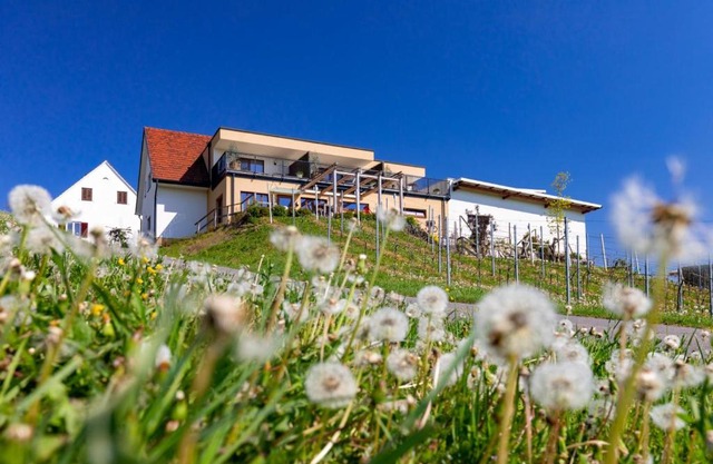 Weingut und Gästezimmer Perner
