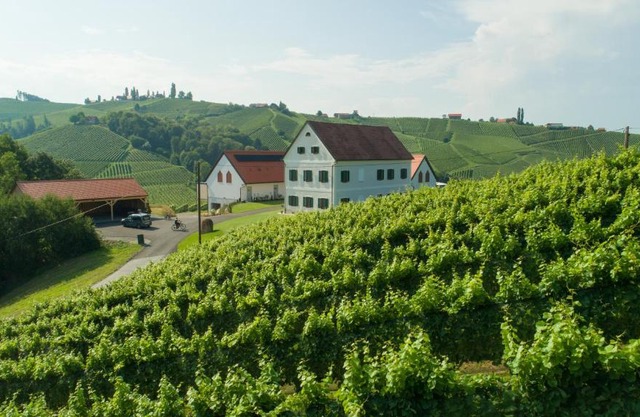 Weinschmiede 18'