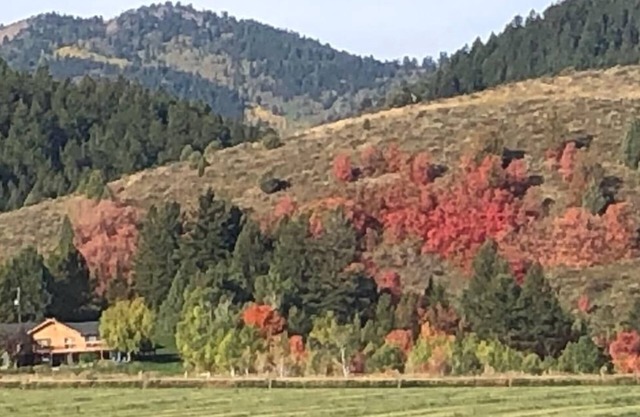 Welcome to our Mountain Family Cabin near Lava Hot Springs!