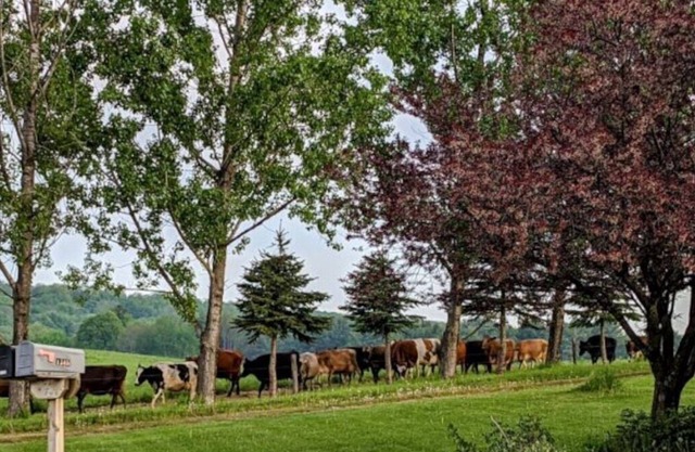 Welcome to The Bull-Pen