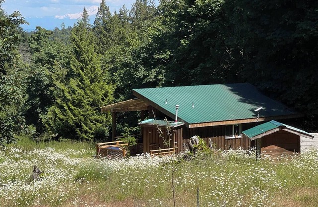 Welcome to the Meadowverse, your peaceful retreat