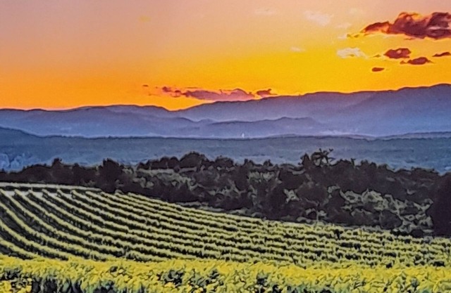Well-situated estate in the heart of a beautiful region, with magnificent views over the valley.