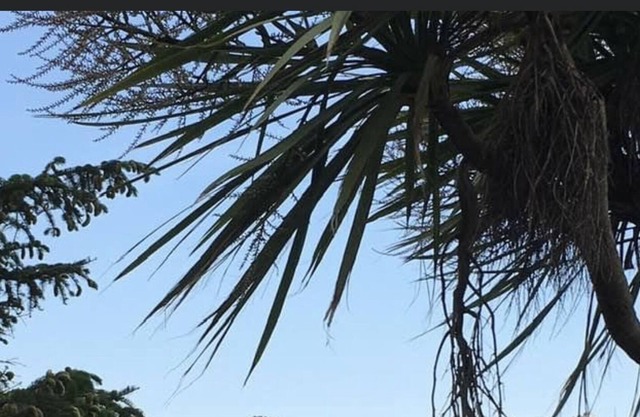 West Winds Bed & Breakfast in Polruan with river and ocean views