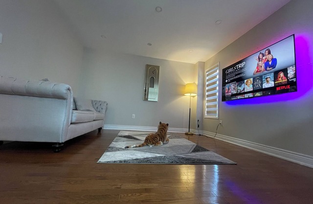 White House - 4 Bedroom Home