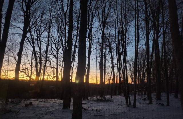 Whitetop Log Cabin; Pet-Friendly, Hiking & Biking