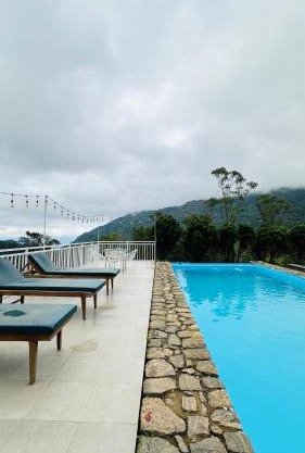 Wild Elephant Resort