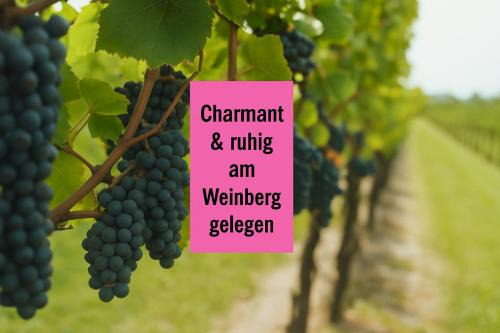 WINETIME - Apartment Roschbach - für bis zu 5 Personen - idyllisch an den Weinbergen der südlichen Weinstraße zwischen Landau und Neustadt gelegen