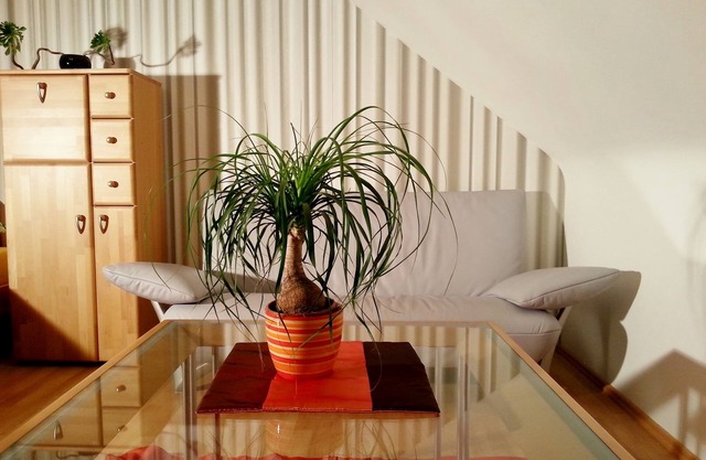 With garage, 1 minute z. Subway, WiFi, washing machine.& Laundry door, fully automatic coffee machine