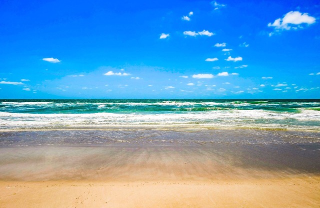 Wonderful studio near the beautiful beach