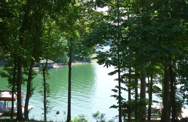 Wooded Lakeside Retreat in a Quiet Cove.