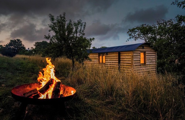 Woodpecker Hill - apple orchard in Alfriston