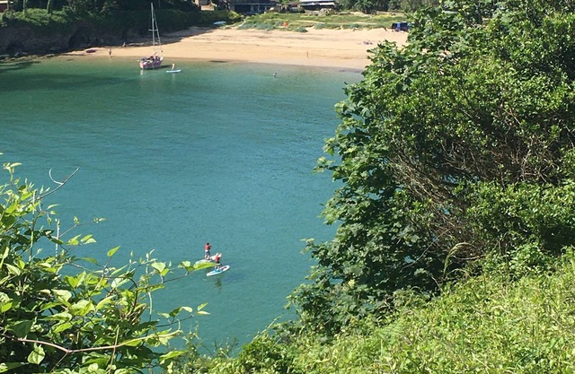 Woodpeckers, a comfortable modern house, set in beautiful, tranquil gardens.