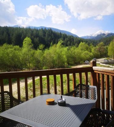 Woodsy views 1 bedroom apartment