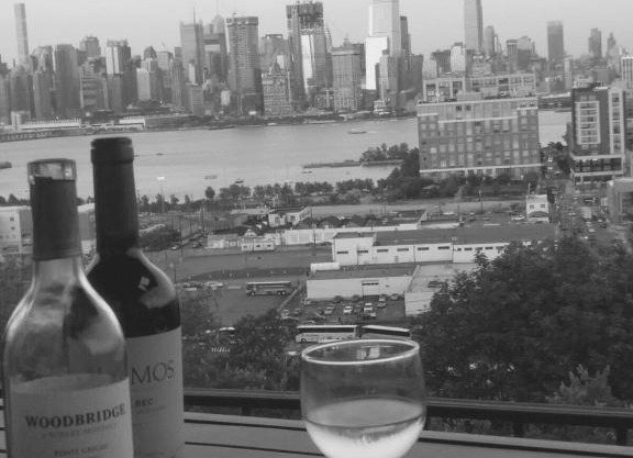 World Trade Apt 3 15 Minutes to Times Square
