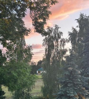 Wzgórze Na Jurze