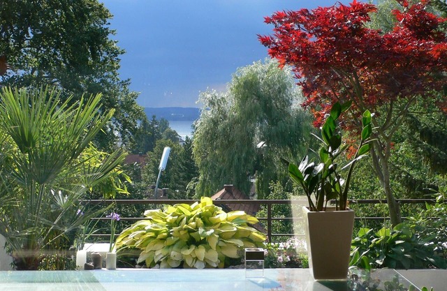 Your AmmerSeeblick! Everything within walking distance. Lake, beach, restaurants, stores.