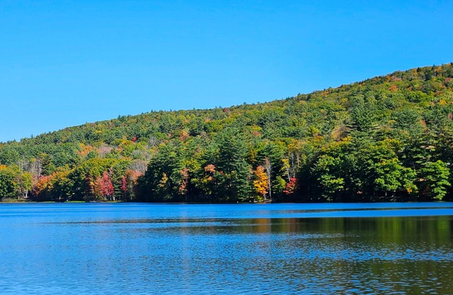 Your Lakeside Paradise: A/C, Private Dock, Kayaks & Rowboat on Dexter Pond!