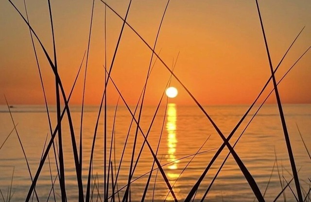 Your private beach on Lake Michigan . book N O W! 6Night just opened Jul 6-12