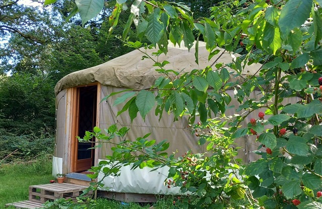 Yourte Contemporaine Dans Micro Ferme Bio