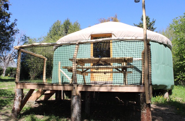 Yurt rental 2/4/6 persons