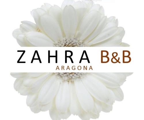 ZAHRA ARAGONA