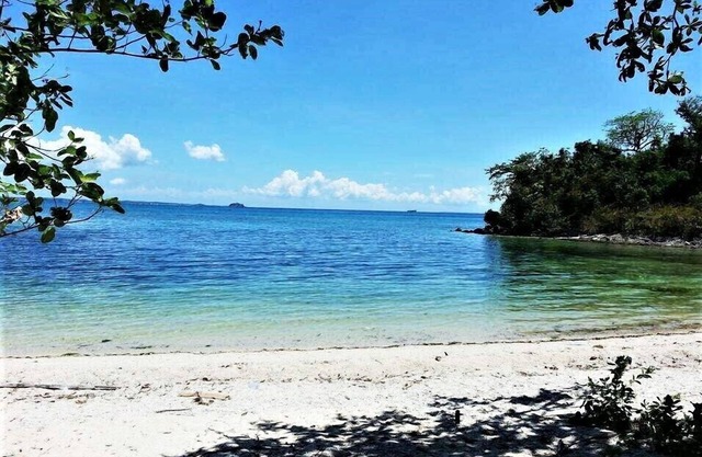 Zhang Resort and Dive Center OPC