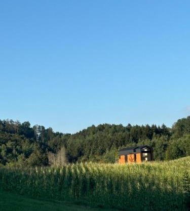 ZuHause im Freien