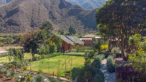 Huaran Resort | Árbol de la Vida