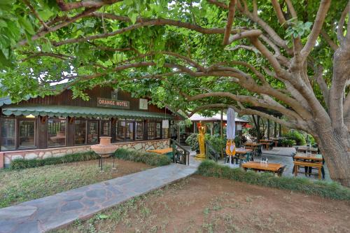 Cirali Hotel | Çıralı Orange Motel