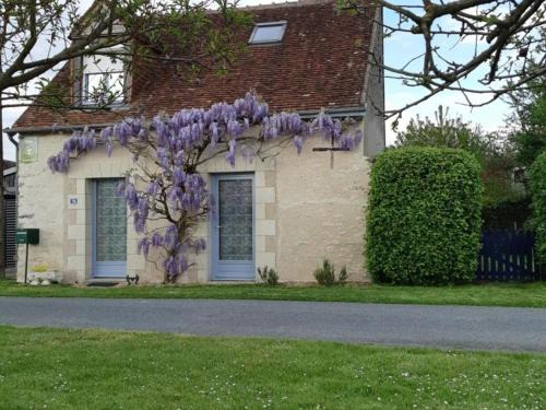 Luzille House | Évasion à Luzillé : Havre de Paix avec Jardin Privatif, proche Chenonceau et Beauval - FR-1-381-303