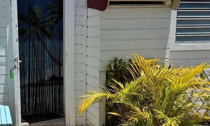 Bas du Fort Apartment | Évation Tropicale : Appartement Neuf Cosy à 100 Mètre de la Plage du Gosier