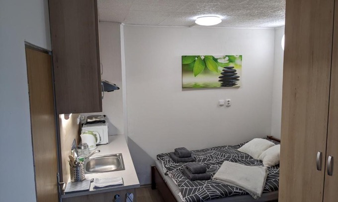 Brno-Lisen Apartment | Útulné studio u Mariánského údolí v Brně - Líšni