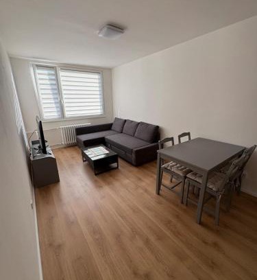 Chodov Apartment | Čenětická Apartment