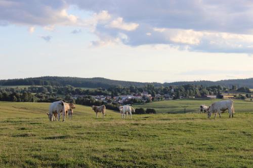 Lesna House | Čtyři pokoje